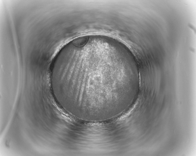 X0000093731501200710301034