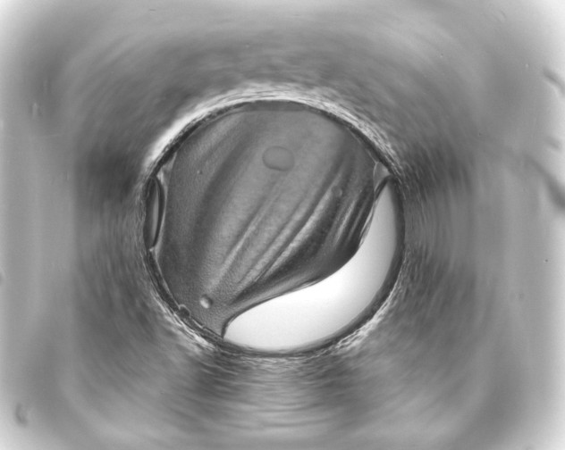 X0000093731502200710301034