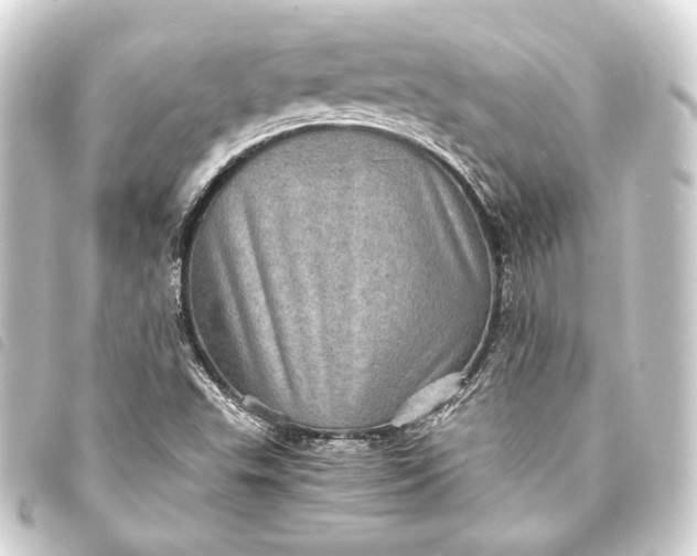 X0000093731503200710301034