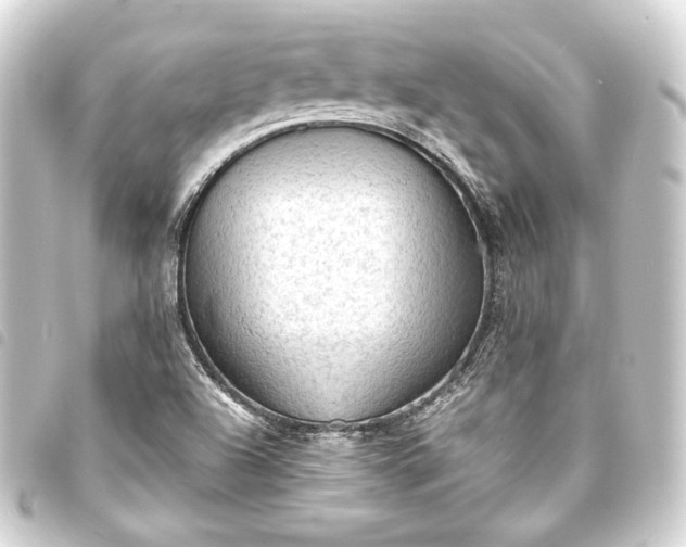 X0000093731504200710301034