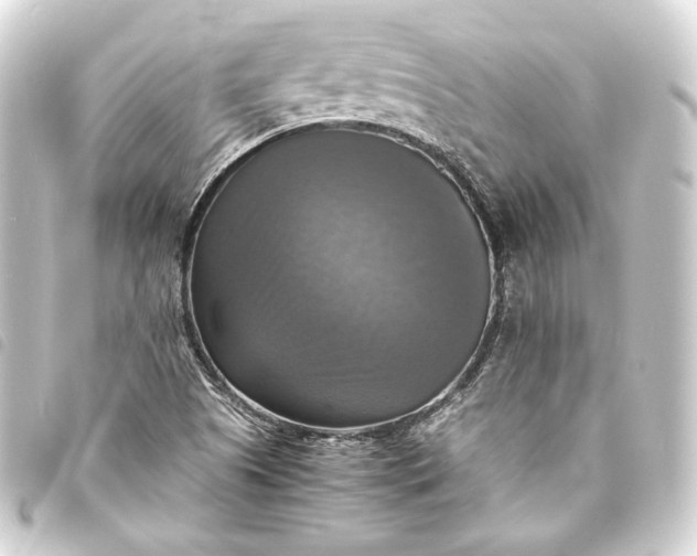 X0000093731505200710301034