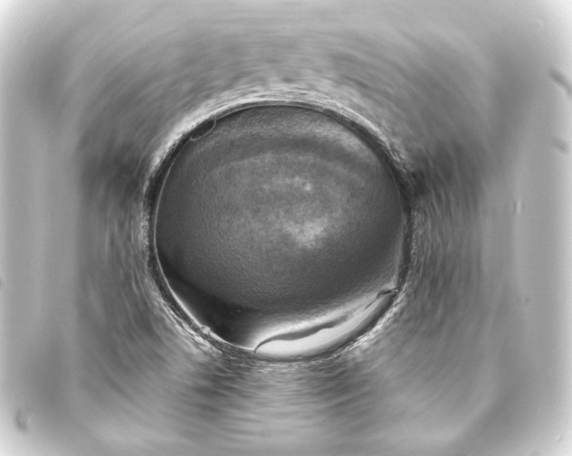 X0000093731506200710301034