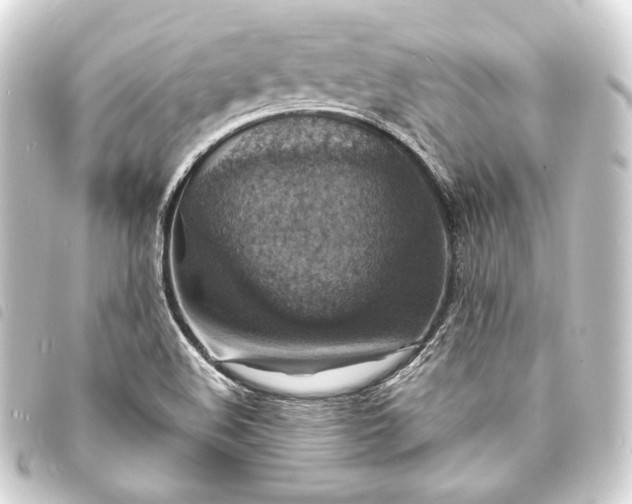 X0000093731508200710301034