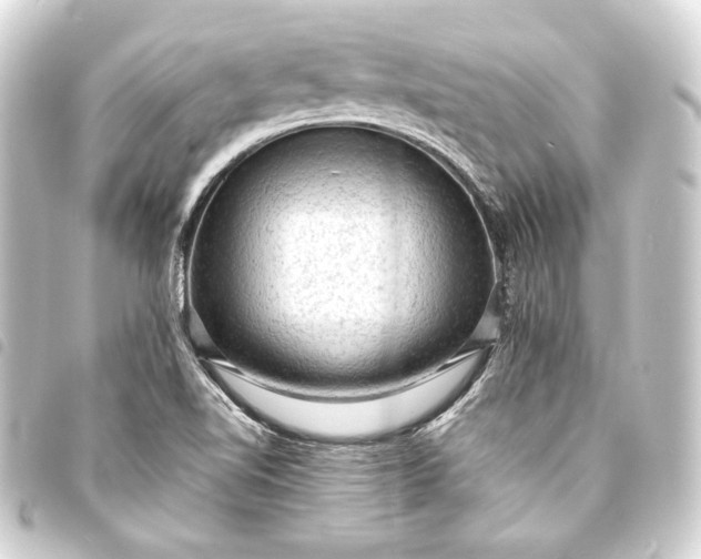 X0000093731510200710301034