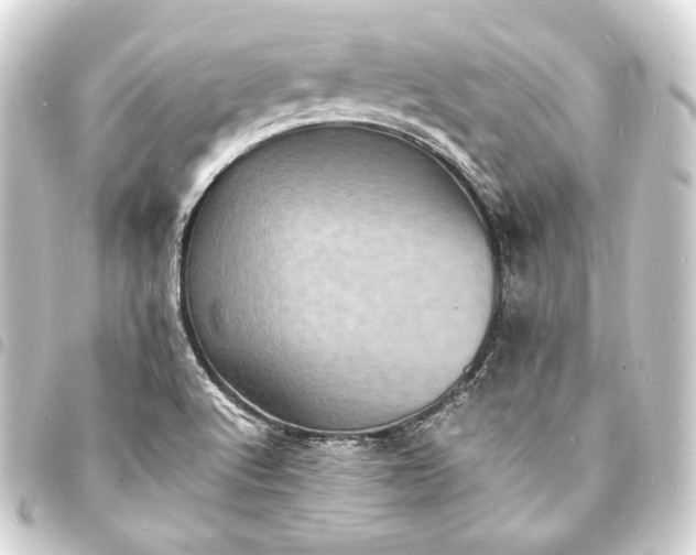 X0000093731512200710301034