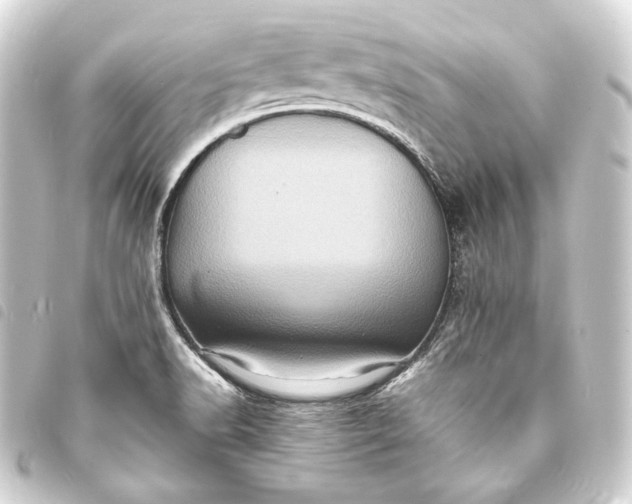 X0000093731518200710301034