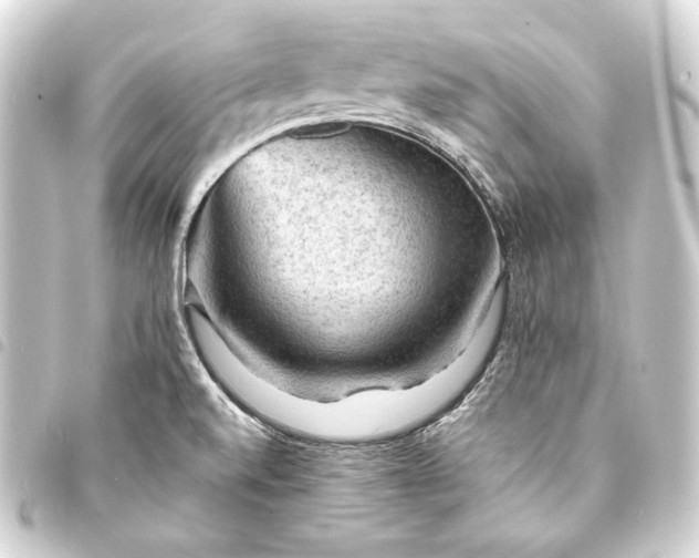 X0000093731520200710301034
