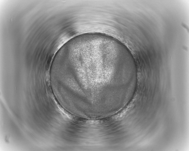 X0000093731521200710301034