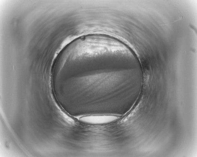 X0000093731525200710301034