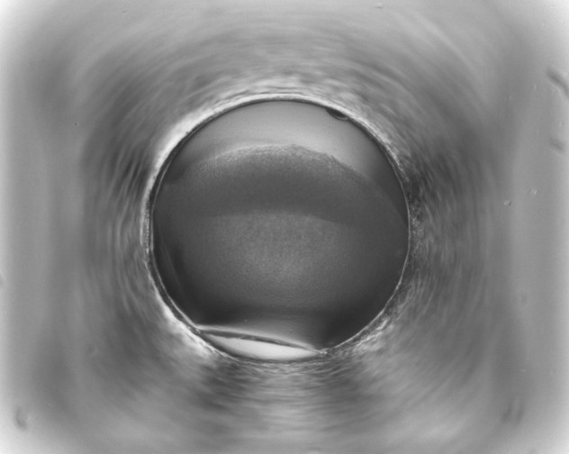 X0000093731527200710301034