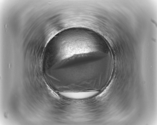 X0000093731529200710301034