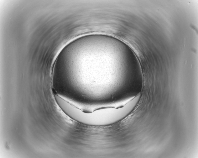 X0000093731532200710301034