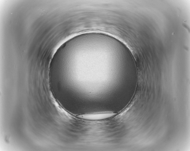 X0000093731534200710301034
