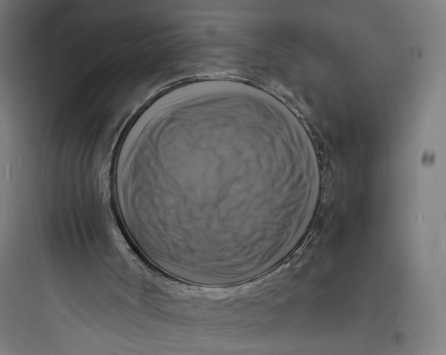 X0000093730002200711061011