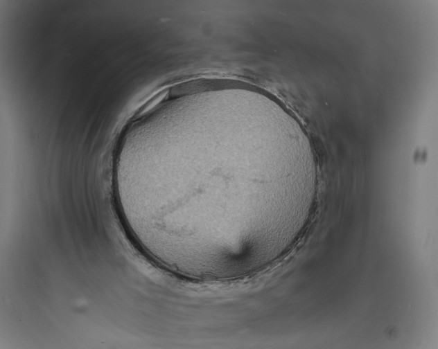 X0000093730005200711061011