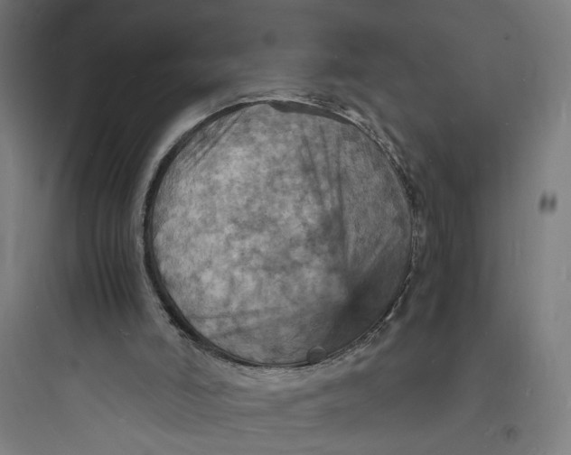 X0000093730006200711061011