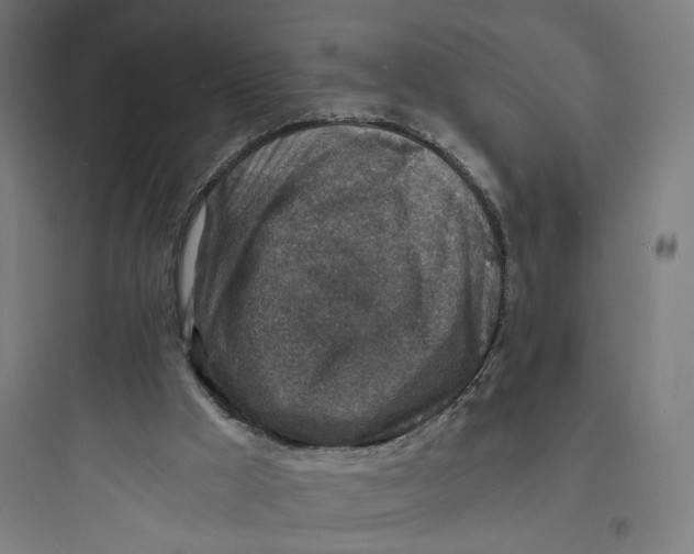 X0000093730009200711061011