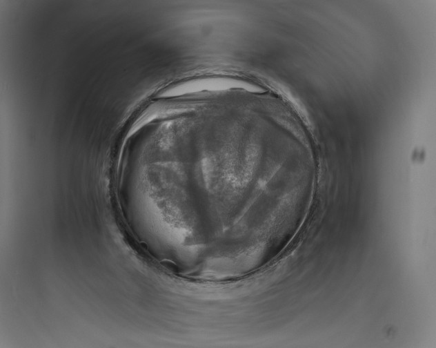 X0000093730010200711061011