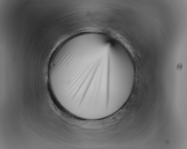 X0000093730011200711061011