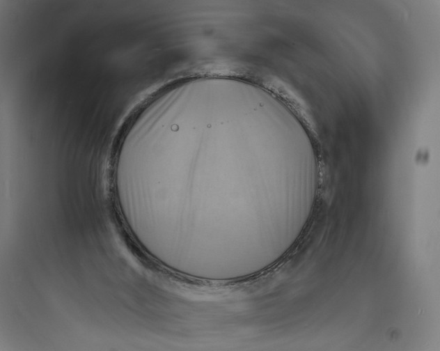 X0000093730012200711061011