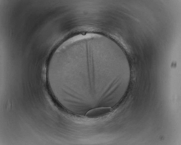 X0000093730014200711061011