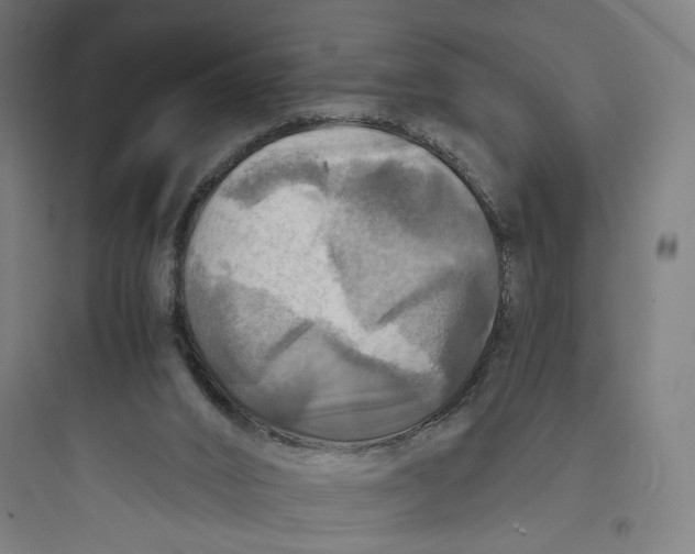 X0000093730016200711061011