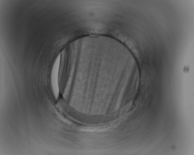 X0000093730017200711061011