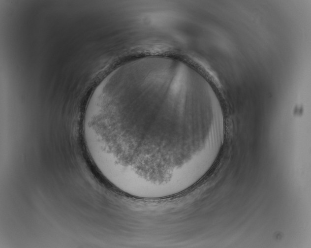 X0000093730018200711061011