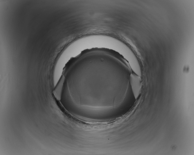 X0000093730019200711061011