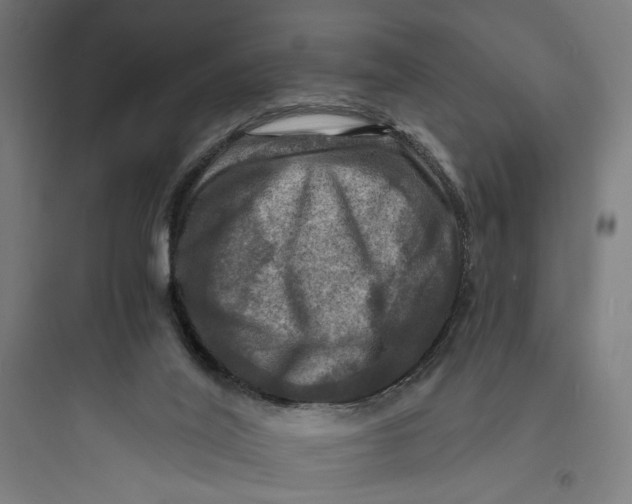 X0000093730020200711061011