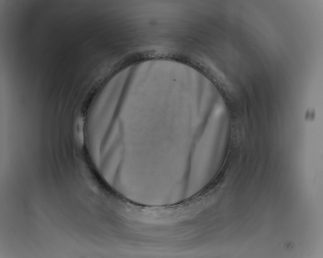 X0000093730022200711061011