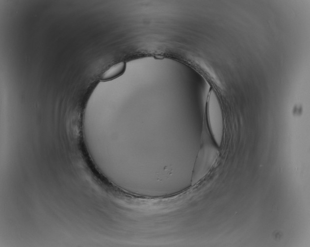 X0000093730023200711061011