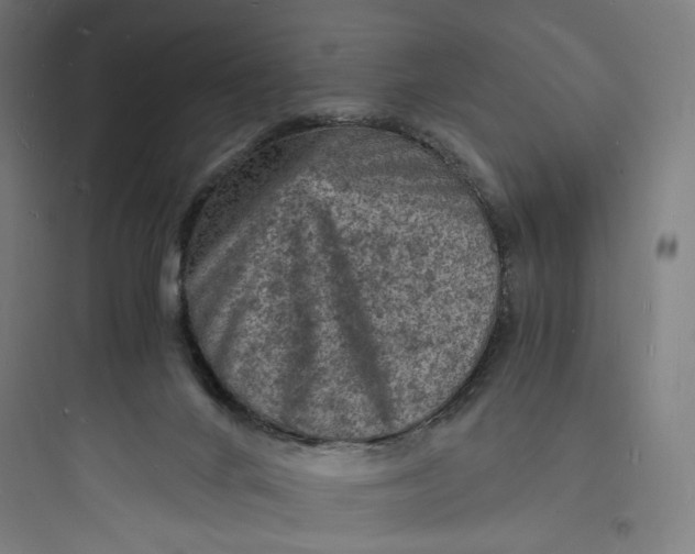 X0000093730024200711061011