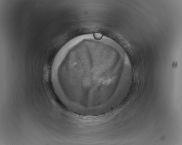 X0000093730026200711061011