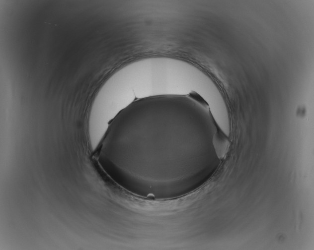 X0000093730027200711061011