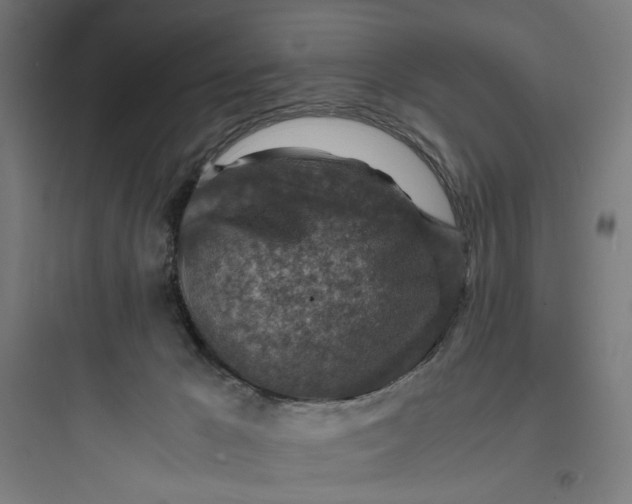 X0000093730029200711061011