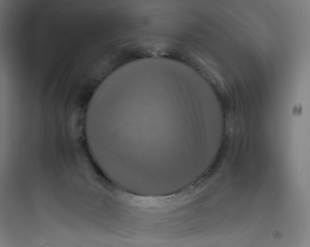 X0000093730030200711061011