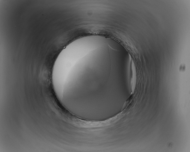 X0000093730031200711061011