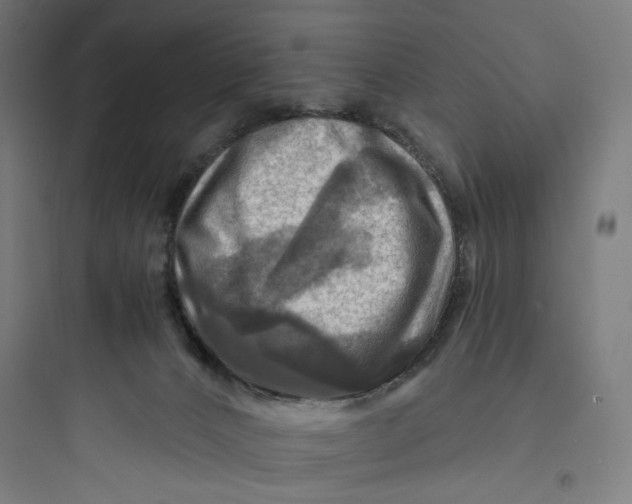 X0000093730032200711061011