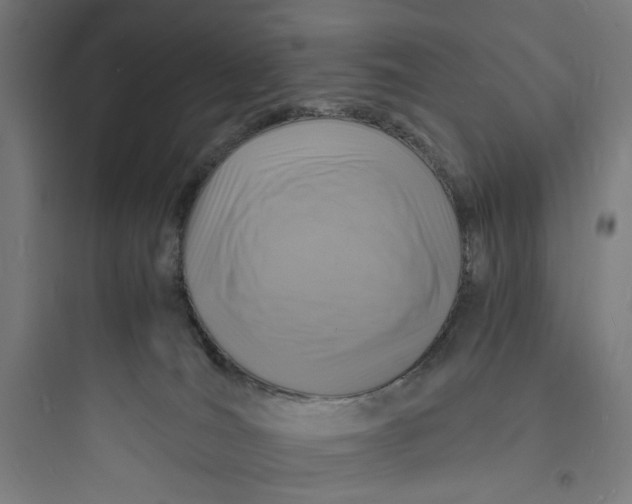 X0000093730036200711061010