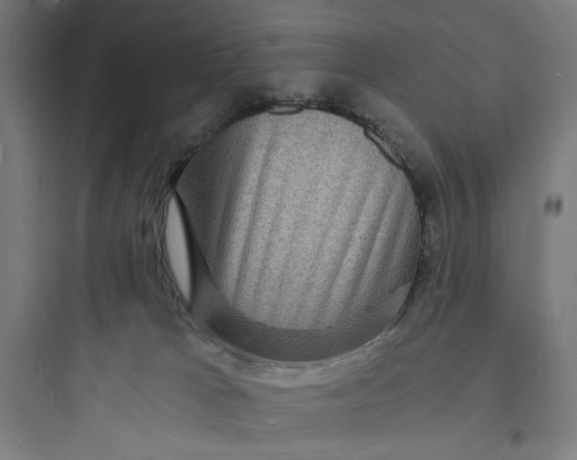 X0000093730037200711061010