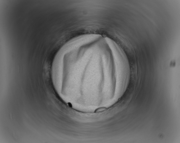 X0000093730038200711061010