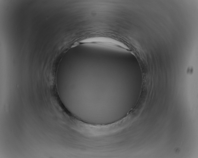 X0000093730039200711061010