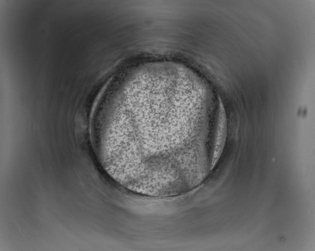 X0000093730040200711061010