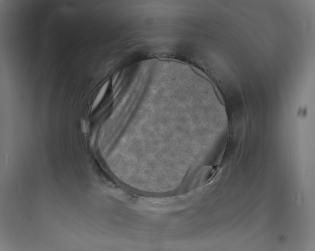 X0000093730041200711061010