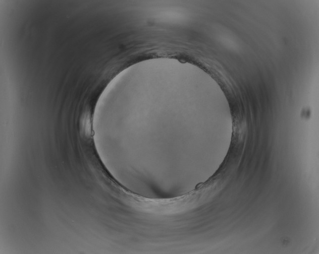 X0000093730046200711061010