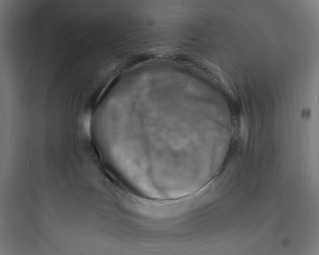 X0000093730047200711061010