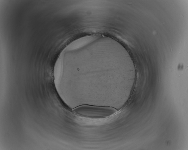 X0000093730048200711061010