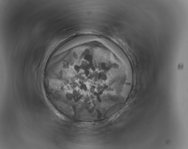 X0000093730049200711061010