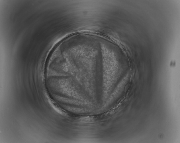 X0000093730050200711061010